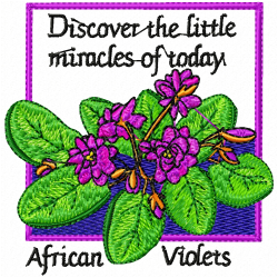 Words Embroidery Design 11